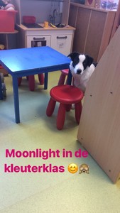 moonlight in de klas